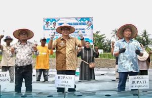 Bupati Deli Serdang, dr H Asri Ludin Tambunan bersama Wakil Bupati, Lom Lom Suwondo SS melakukan Tanam Perdana Cabai Merah bersama Gabungan Kelompok Tani Wonogiri