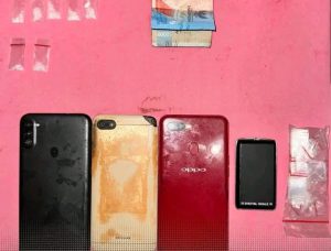 Polres Labuhanbatu Selatan Ungkap Kasus Narkotika di Dusun Perjuangan Padangrie Satu Tersangka Diamankan