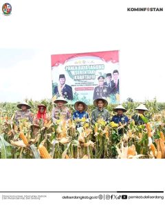 Wakil Bupati Deli Serdang, Lom Lom Suwondo SS  melaksanakan Panen Raya Nasional Jagung Serentak Kuartal II