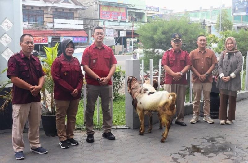 Sambut Idul Adha, Lapas Jambi Terima 2 Ekor Kambing Kurban dari BRI