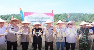 Polda Jambi Tegaskan Komitmen Dukung Ketahanan Pangan Melalui Panen Raya Jagung Kuartal II