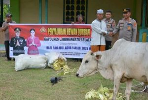 Kapolres Labuhanbatu Selatan Serahkan Hewan Kurban ke Masjid Al Musthofa Kotapinang, Bentuk Kepedulian Sosial Polri